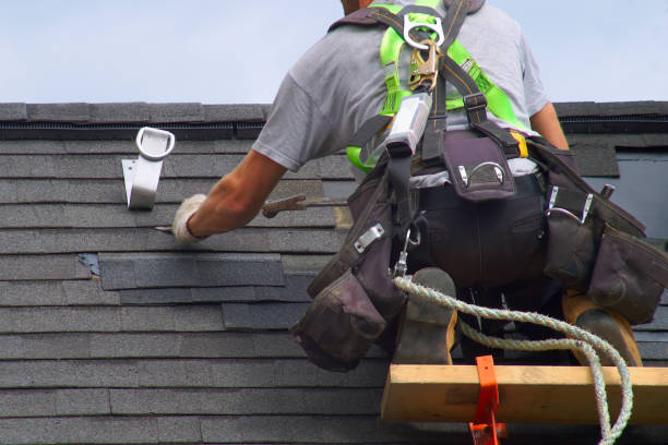Best Roof Repair Services  in Larimore, ND