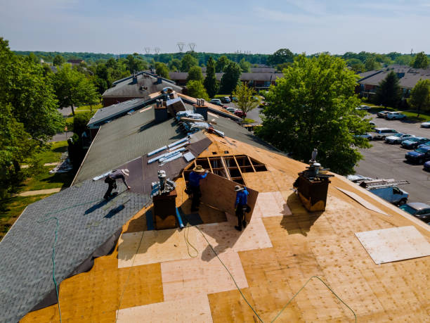 Best New Roof Installation  in Larimore, ND