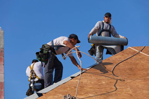 Best Roof Repair Services  in Larimore, ND