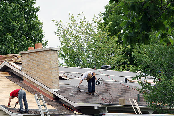 Best Roof Leak Repair  in Larimore, ND