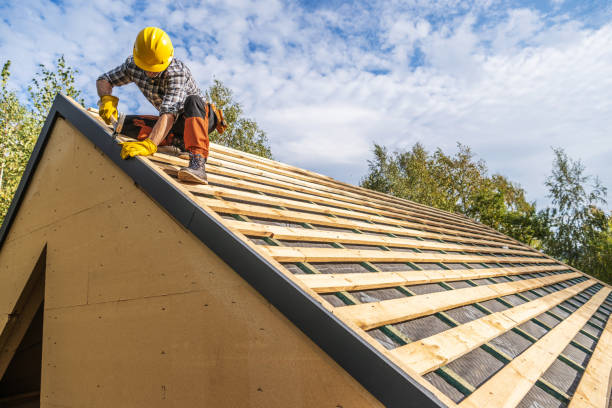 Best Gutter Installation and Roofing  in Larimore, ND