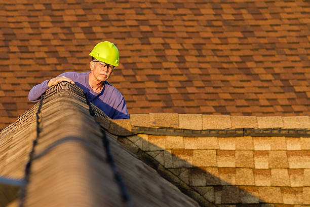 Best Commercial Roofing Services  in Larimore, ND