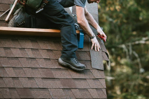 Best Residential Roofing Contractor  in Larimore, ND